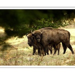 ...první setkání...