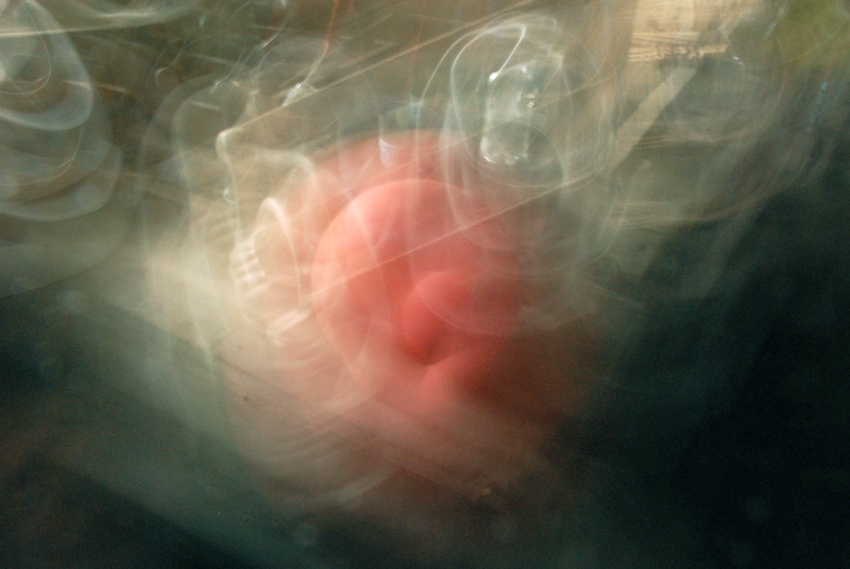 Zpomalené okamžiky II