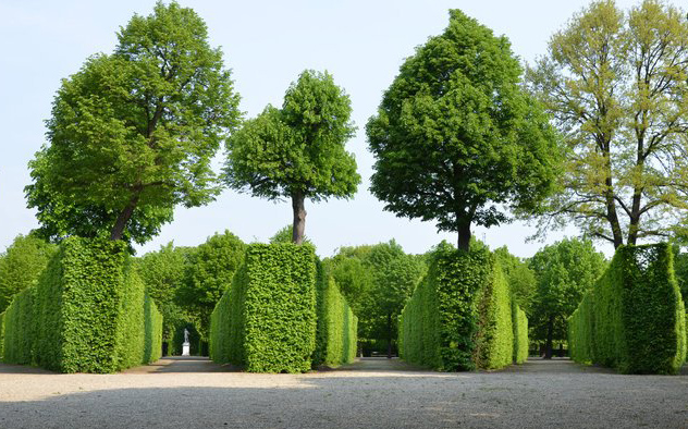 Schönbrunn