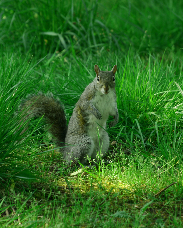 Kde jsi se tu vzal?!