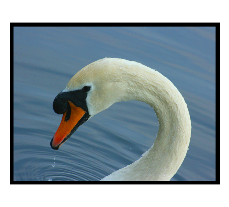 Lahodná,ta vodička...