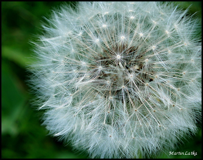 Krása ktorá nič nestojí