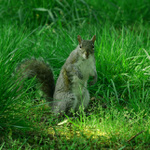 Kde jsi se tu vzal?!