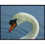 Lahodná,ta vodička...