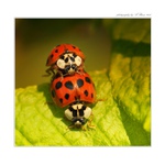 ... Jarní Sexík s Bérou :) ...