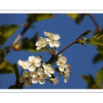 ...pro ty, kdo mají nedostatek z 1. máje...