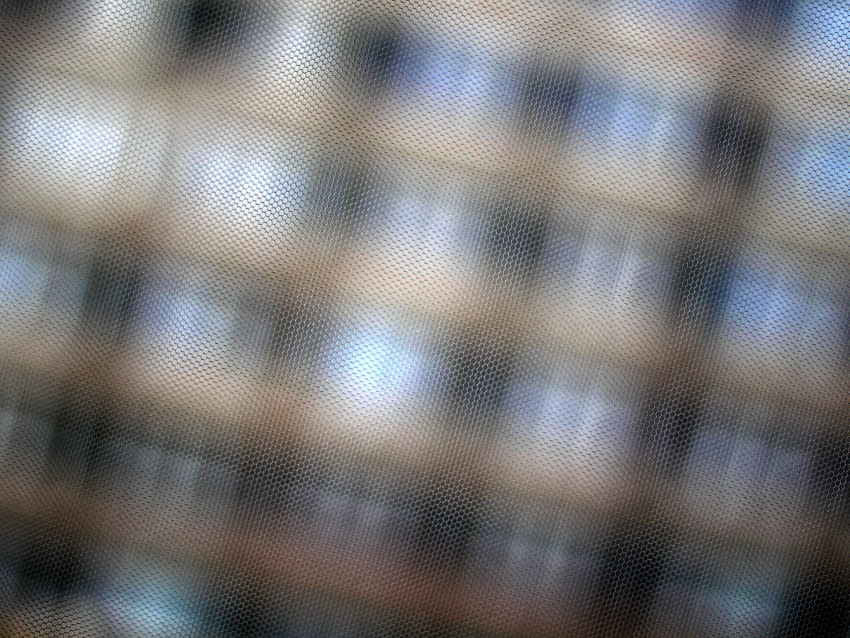 Klec v síti