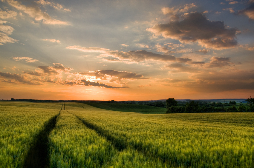 Ponětovická polní....