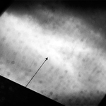 MoML 7. června 2011