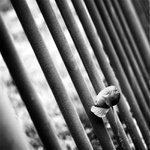 MoML 9. června 2011