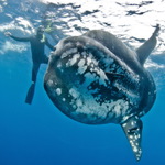 Před 3 hodinami v moři...