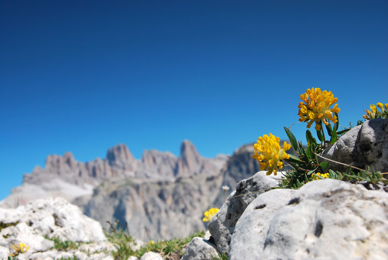 Dolomity II.