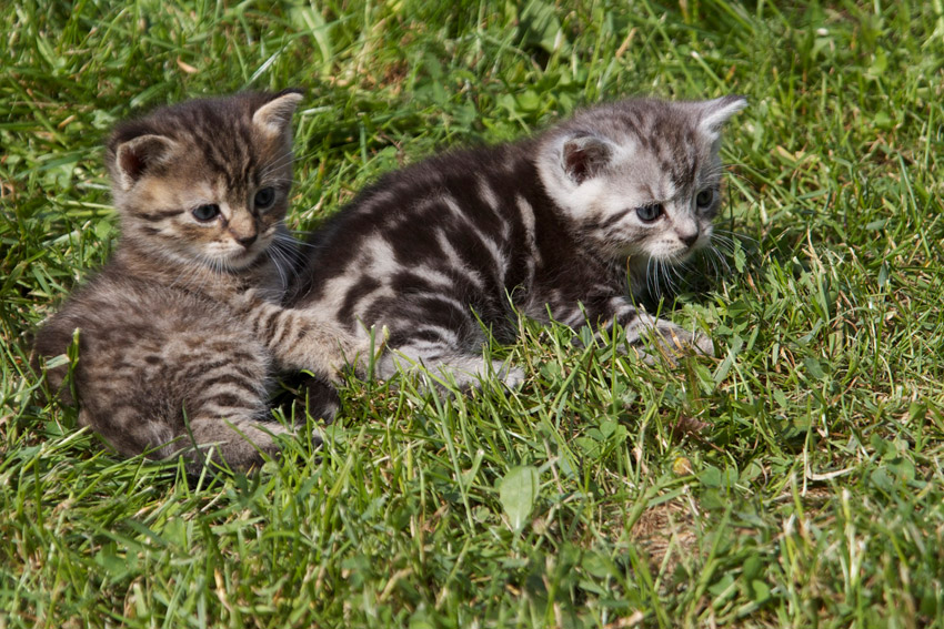 Pohodička na sluníčku II