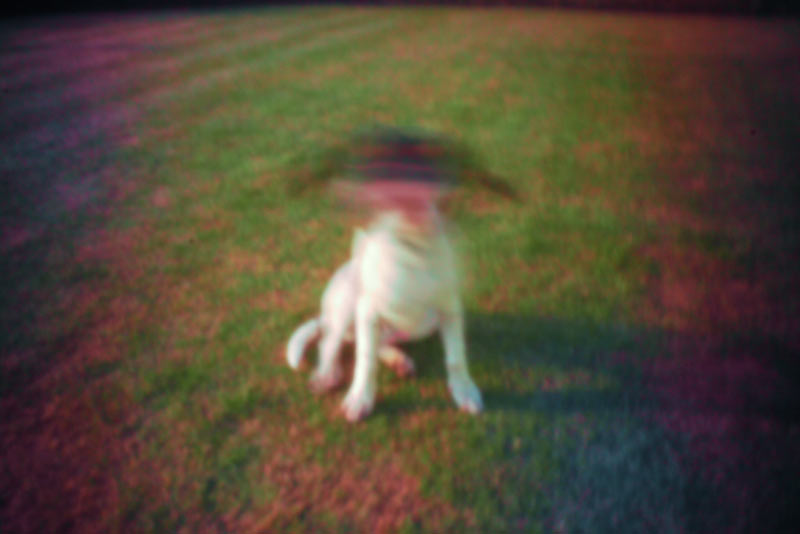 PP