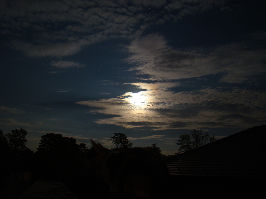 Moon