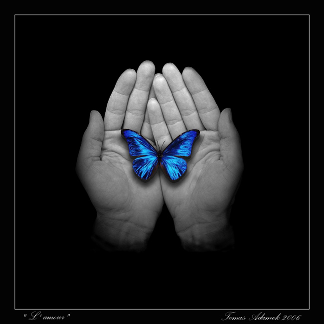 L´amour