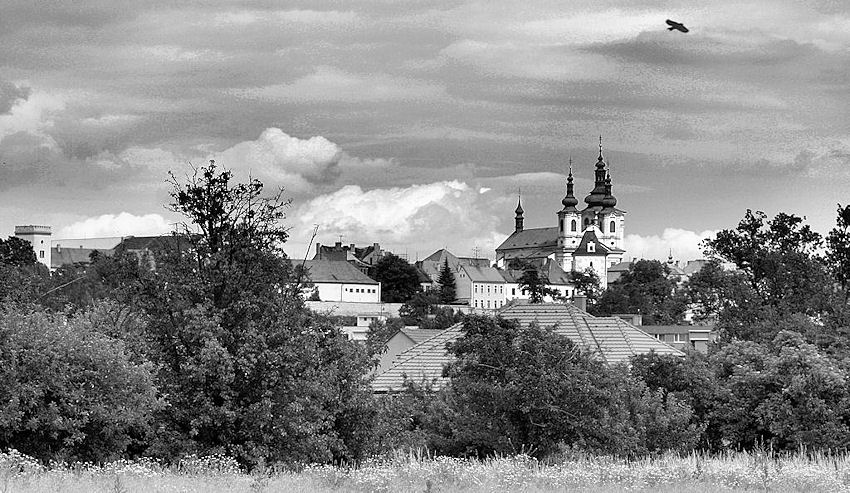 Žatec