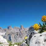 Dolomity II.