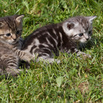 Pohodička na sluníčku II