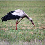 Brrr, to je zima....