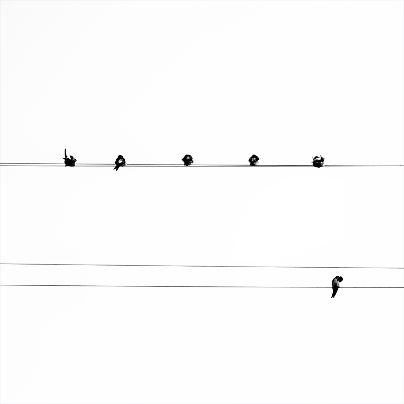 Všichni jsme si (více méně) rovni - MoML 4. srpna 2011