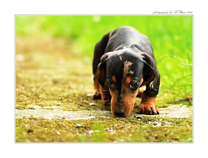 ... Objevujeme pachy světa :) ...