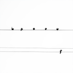 Všichni jsme si (více méně) rovni - MoML 4. srpna 2011