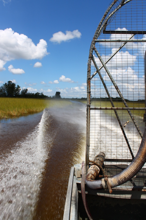 Everglades, Airboat