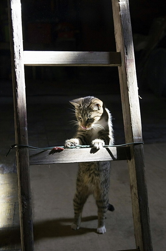 Modelka na půdě....:)