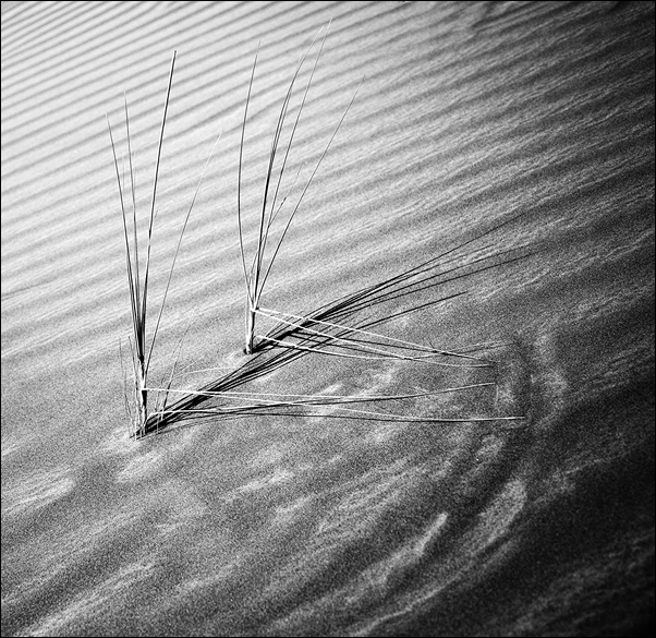 „Žádám tě, neruš mi mé kruhy,“