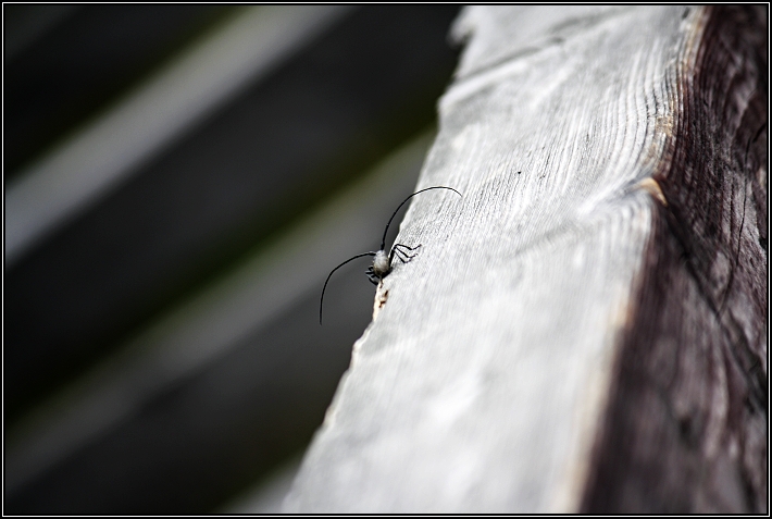 Pěknej výhled na jezírko...