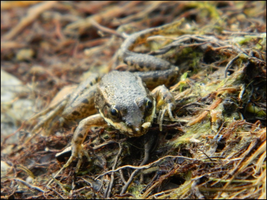 Vo vode mi bolo lepšie :)