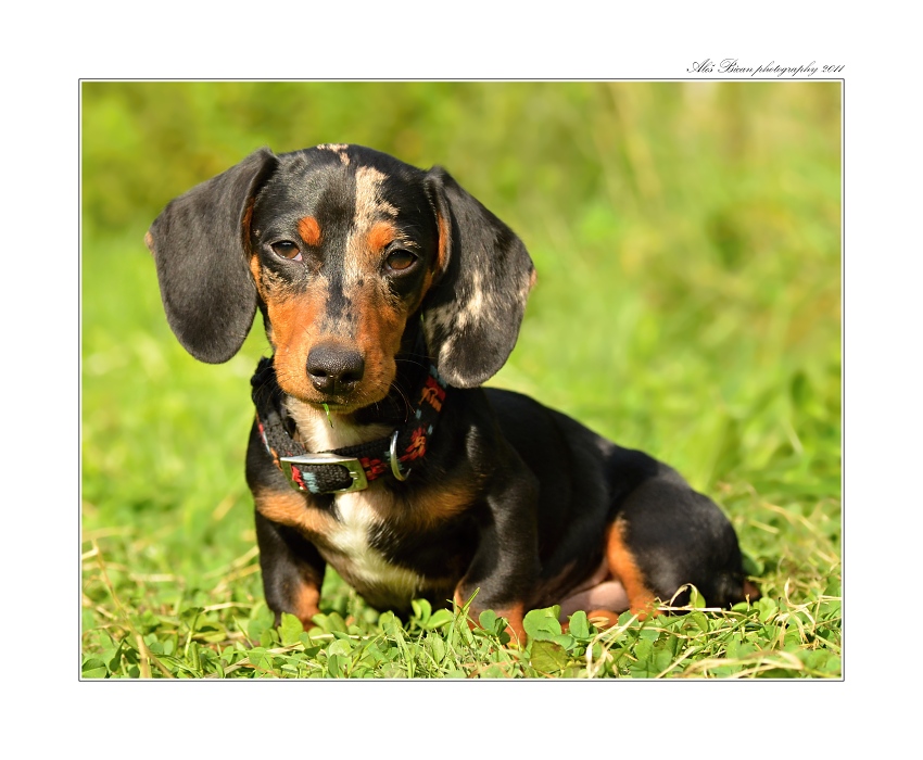 ... Upřímný pohled :) ...