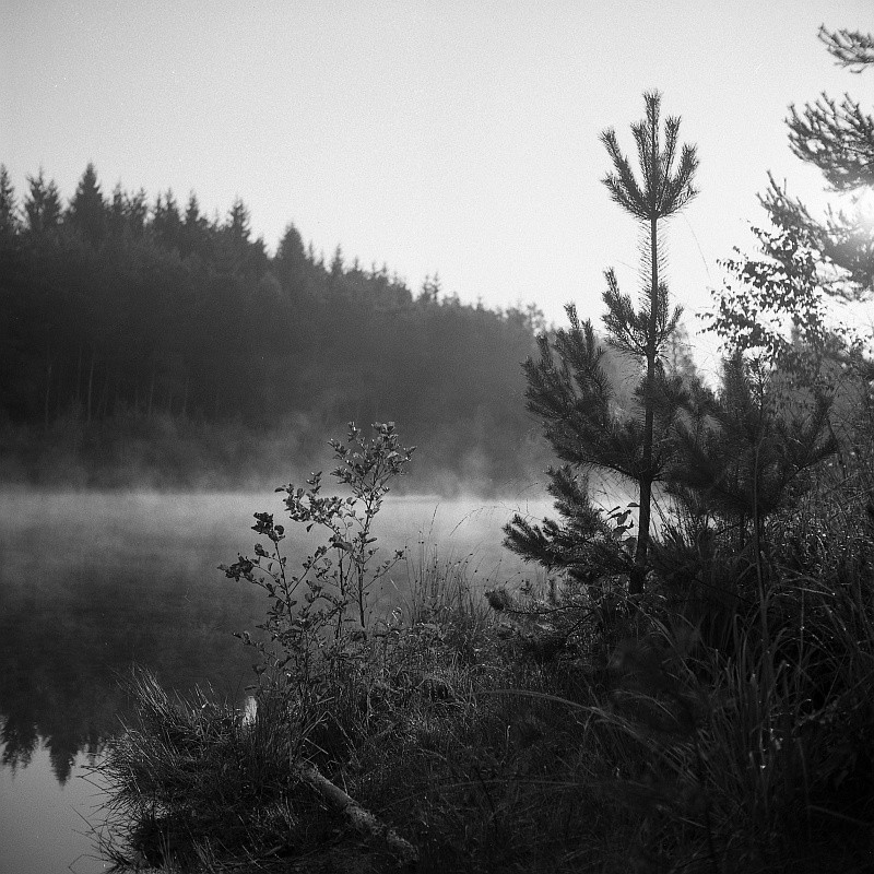 Ráno nad hladinou