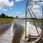Everglades, Airboat