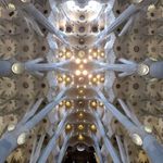 Španělsko - Barcelona - Strop kostela Sagrada Familia