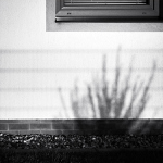 MoML 7. září 2011