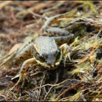 Vo vode mi bolo lepšie :)