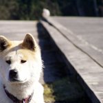 Na německých mostech