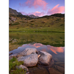 Pirin