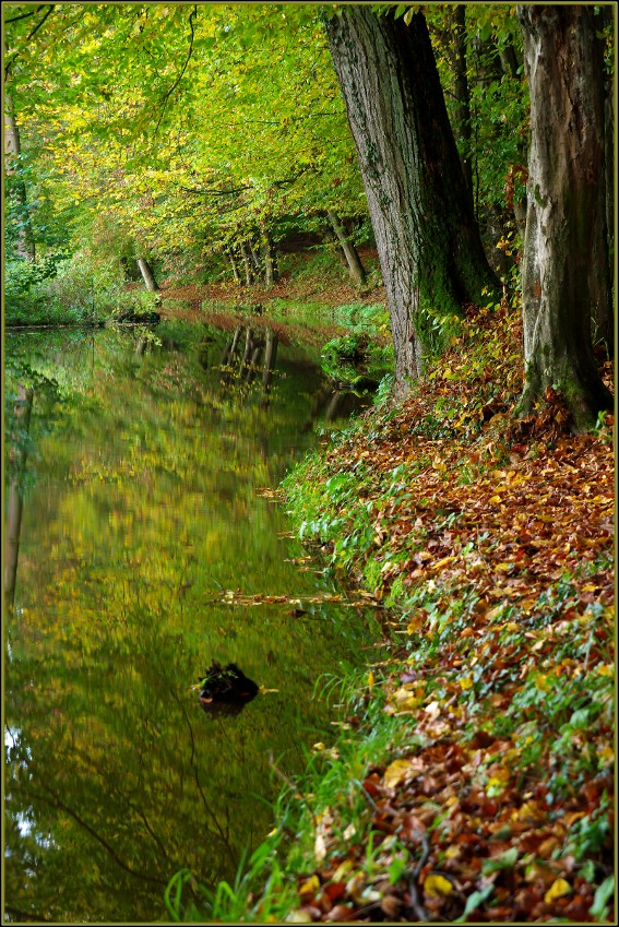 podzimní zastavení