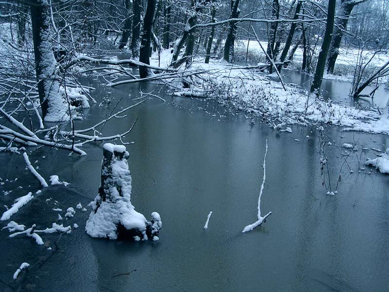 Zimní II.