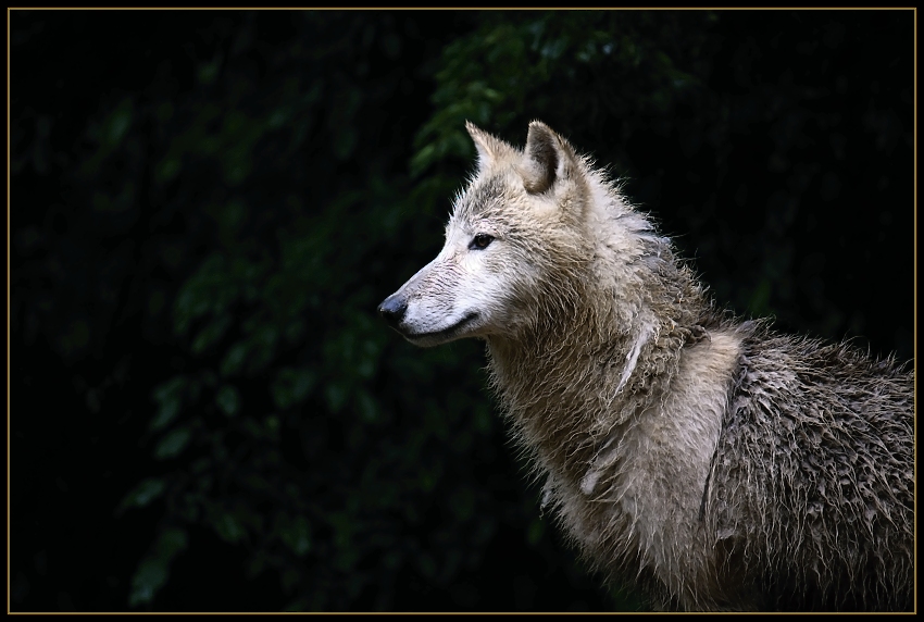 Výhled...za deště..