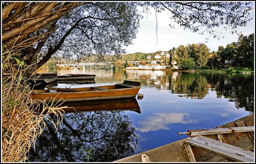 Vltava v Davli