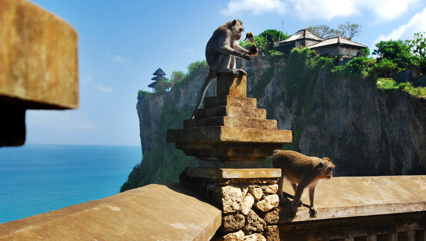 Monkey Temple