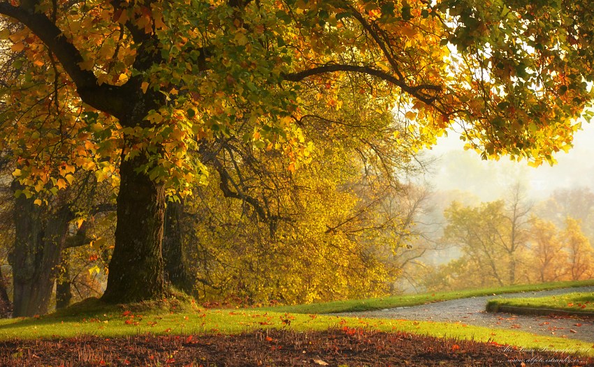 ... Kozel - podzimní park ...
