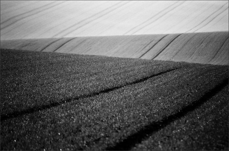 jen tak přespolní cvak