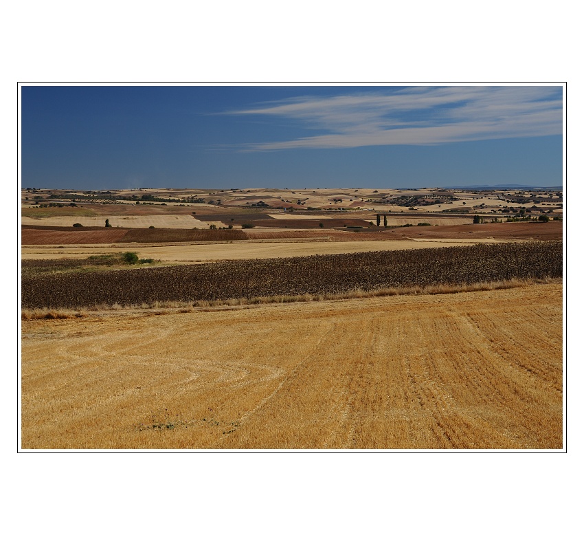 Castilla - La Mancha...
