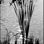 na hladině není vždy co čekám...