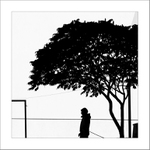 AŽ....se budou venčit stromy